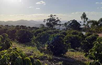 Imagem 14: Troco lindo sítio por carro no mesmo Valor