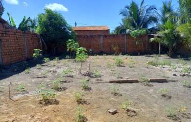 Imagem 2: Vendo este lindo terreno no residencial Novo paço