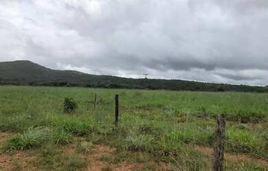 Imagem 10: Vendo Fazenda com 77 Alqueires, Plana e Beira de Asfalto em Padre Bernardo-GO