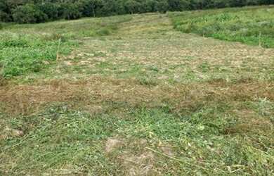 Imagem: O terreno possui 600m² de Área e está localizado em Centro