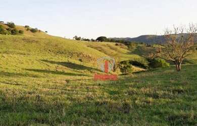 Imagem 3: Fazenda à venda 58 Alqueires por R$ 8.700.000 - Rural - Rio Bom/Paraná