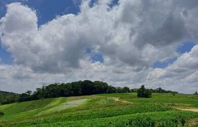 Imagem: O terreno possui 600m² de Área e está localizado em Potuverá
