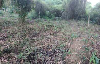 Imagem: O terreno e está localizado em Praia Das Palmeiras, Caraguatatuba