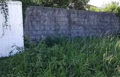 Imagem: O terreno possui 60000m² de Área e está localizado em Mata