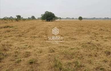 Imagem 8: Fazenda em São Felix do Araguaia com 83.346 hectares sendo 30 mil ha...