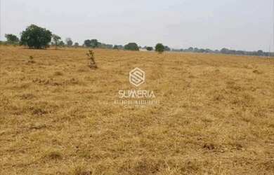 Imagem 2: Fazenda em São Felix do Araguaia com 83.346 hectares sendo 30 mil ha...