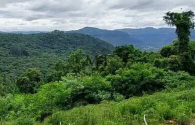 Imagem 3: Área de terra bairro Scheiblin, Linha Nova.RS Ref. 157