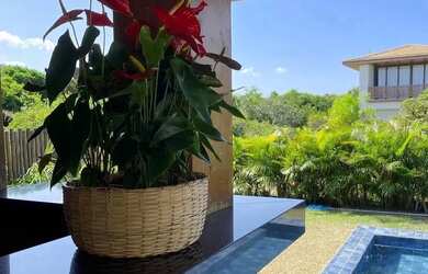 Imagem 8: Praia do Forte 5 suites na melhor localização