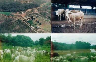 Imagem: A fazenda possui 3.000.000m² de Área e está localizado em