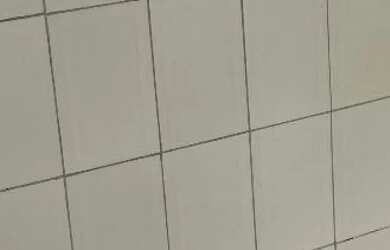 Imagem 7: Vendo Casa. 2 Vagas na garageme3 Dormitórios