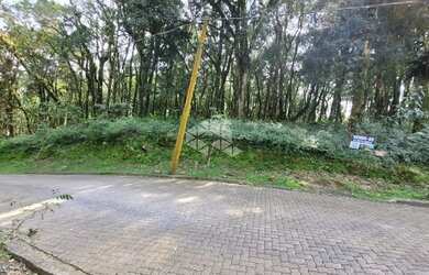 Imagem 9: Pinheiro Grosso - com projeto aprovado