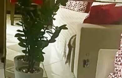 Imagem: Apartamento à venda no Santa Fé, JABOTIANA, Aracaju, SE