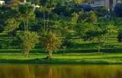 Imagem 13: LOTE PLANO. 350m² de Área