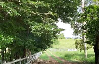 Imagem 14: Fazenda Shangrilá Água Abundante Goiás