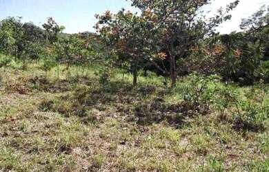 Imagem: A chácara e está localizado em Jaboticatubas, MG à venda