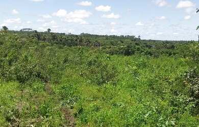 Imagem 4: Fazenda natividade. 700m² de Área