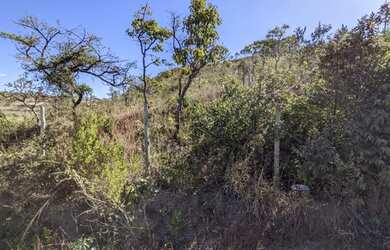 Imagem 5: Lote em Diamantina, 300 m2