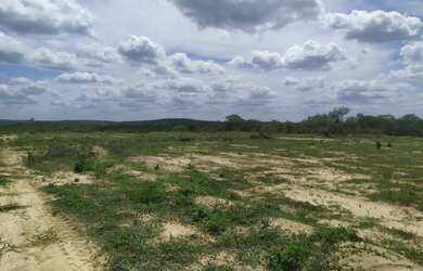 Imagem 5: Lote/Terreno para venda com 220 e 330 metros quadrados em Tangente - Água...
