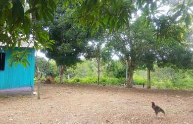 Imagem 1: Chácara rural 250x200. 