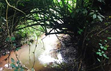 Imagem 6: chacara em inhumas. 5.000m² de Área