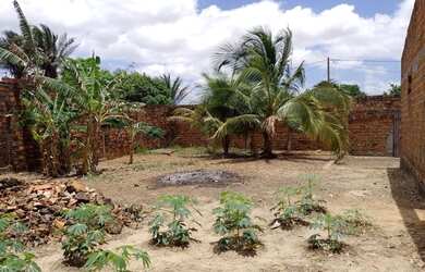 Imagem 6: Terreno 20x20 todo murado