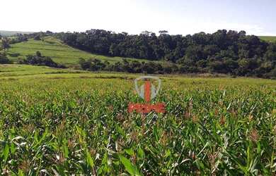 Imagem: Fazenda à venda 84 Alqueires por R$ 12.600.000 - Rural - Jaguapitã/Paraná