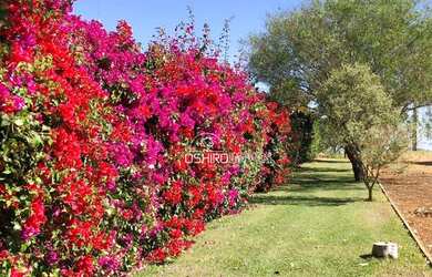 Imagem 4: Casa com 6 dormitórios à venda, 800 m² por R$ 5.989.000,00 - Itai - Avaré/SP