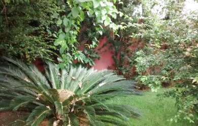 Imagem 16: São José do Rio Preto - Casa Padrão - Jardim Bosque das Vivendas