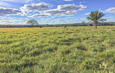 Imagem: A fazenda possui 10.000.000m² de Área e está localizado