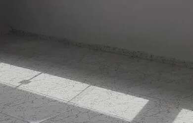 Imagem: A casa possui 2 Dormitórios, 1 Banheiro e 45m² de Área e