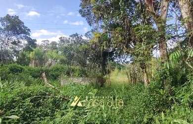 Imagem 8: Terreno 5000 mil metros de frente para Rodovia 407