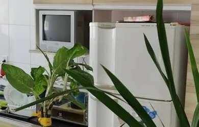 Imagem 5: Guilhermina 02 quartos sendo 01 suítes , 01 vagas de garagem , 70 M²...