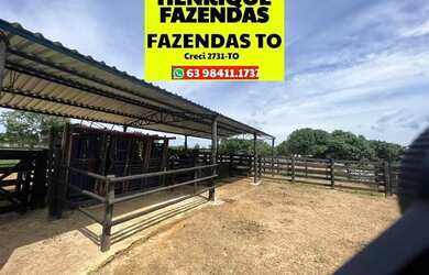 Imagem 16: Fazenda região central de Palmas a Porto Nacional
