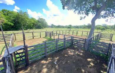 Imagem: A fazenda está localizado em Cocalinho, MT à venda por R$22.500.000