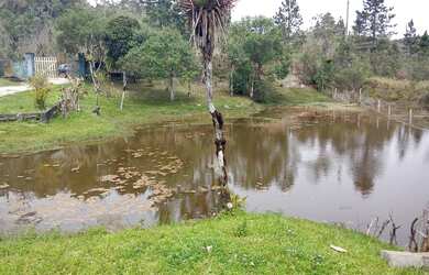 Imagem 8: 297 mil reais lagoa casa piscina internet 1 alq paulista