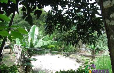 Imagem 8: AREA - LARANJA AZEDA - SP