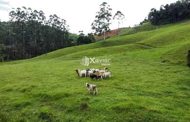 Imagem: O terreno possui 96800m² de Área e está localizado em Matilde