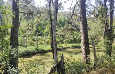 Imagem 5: 4 hectares lagoa casarão 3 km do centro