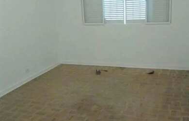 Imagem 8: SOBRADO - VILA ELDÍZIA - SP