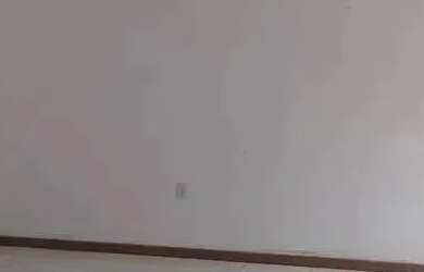 Imagem 6: Galpão para aluguel em área privativa, Jardim Nova Esperança - Salvador - BA