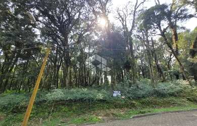 Imagem 7: Pinheiro Grosso - com projeto aprovado