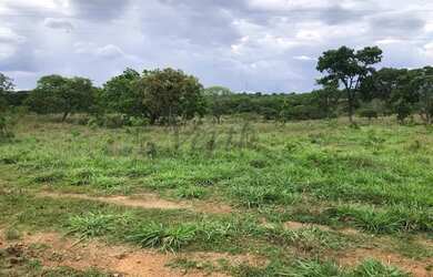 Imagem 2: Fazenda à venda com 422ha - Dupla aptidão em Unai - MG