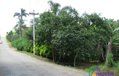 Imagem 9: AREA - LARANJA AZEDA - SP