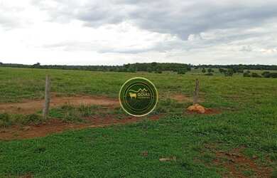 Imagem 5: 197 Alqueires Novo Brasil