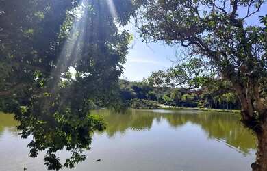 Imagem: LINDO TERRENO FRENTE PARA O LAGO