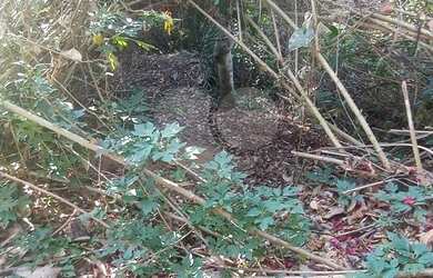 Imagem 7: Maravilhoso terreno no Alpes da Cantareira, segurança 24 horas, com academia