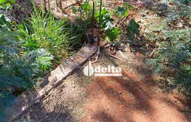 Imagem 9: Terreno à venda, 300 m² por R$ 200.000,00 - Santa Mônica - Uberlândia/MG