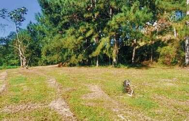 Imagem: O terreno possui 600m² de Área e está localizado em Jardim