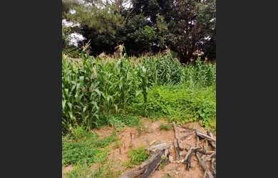 Imagem 1: BRASÍLIA - Terreno Padrão - SETOR HABITACIONAL ARNIQUEIRA ÁGUAS CLARAS