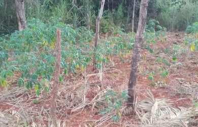 Imagem 2: Vendo lote em canto do engenho, troco em carro ou moto